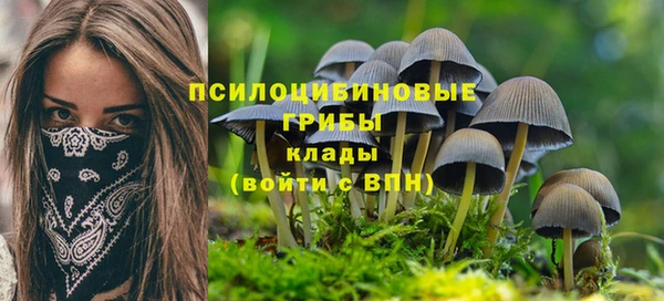a pvp Богданович