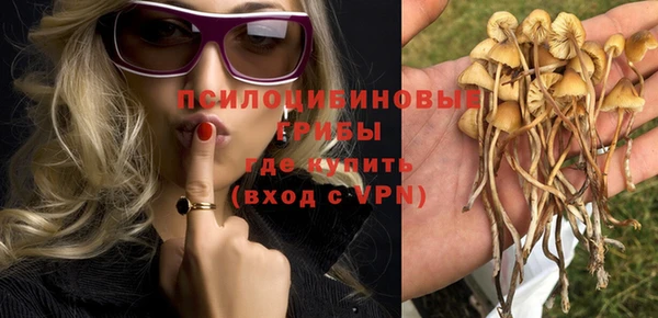 a pvp Богданович