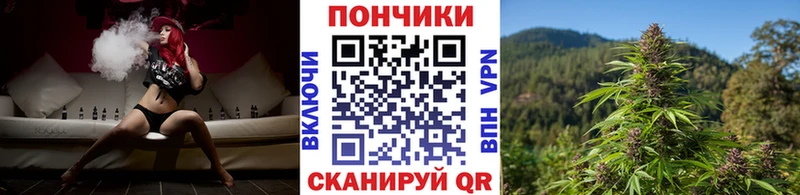 Купить закладки  Бавлы  Марихуана ГИДРОПОН 